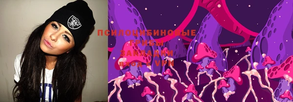стафф Алексин