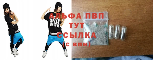 стафф Алексин