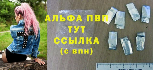 стафф Алексин