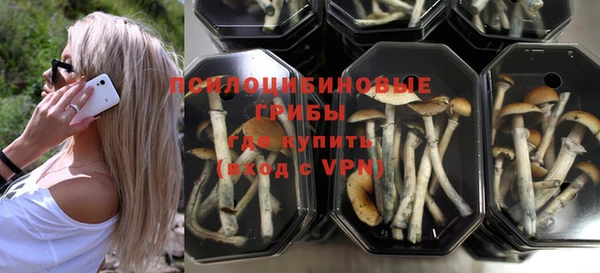 ешки Алексеевка