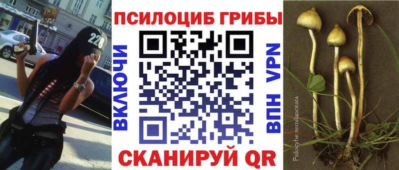 площадка официальный сайт  Лагань  Псилоцибиновые грибы прущие грибы  наркотики 
